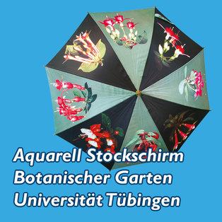 Aquarell-Stockschirm Botanischer Garten Universität Tübingen